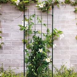 Trellis s l48h150cm