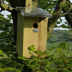 Observatienestkast d21h39b17cm