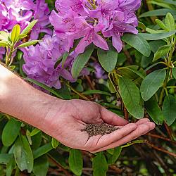 Rhodo&azalea-az 800g